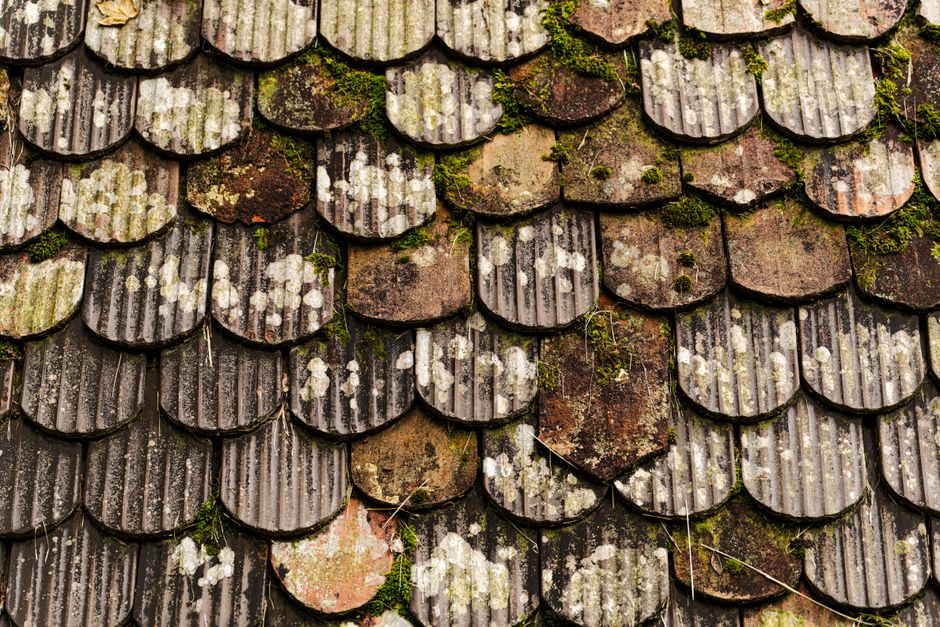 Close-up view of weathered and moss-covered roof tiles with a unique pattern.